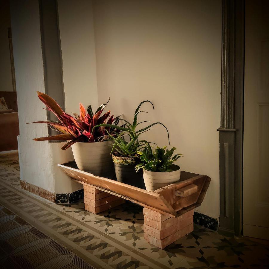 Casa Rural Maribel Santa Amalia Dış mekan fotoğraf